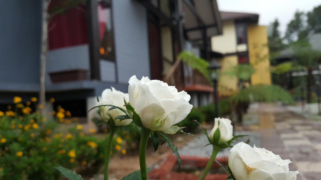 Casa Loma Cameron Highlands Exterior photo