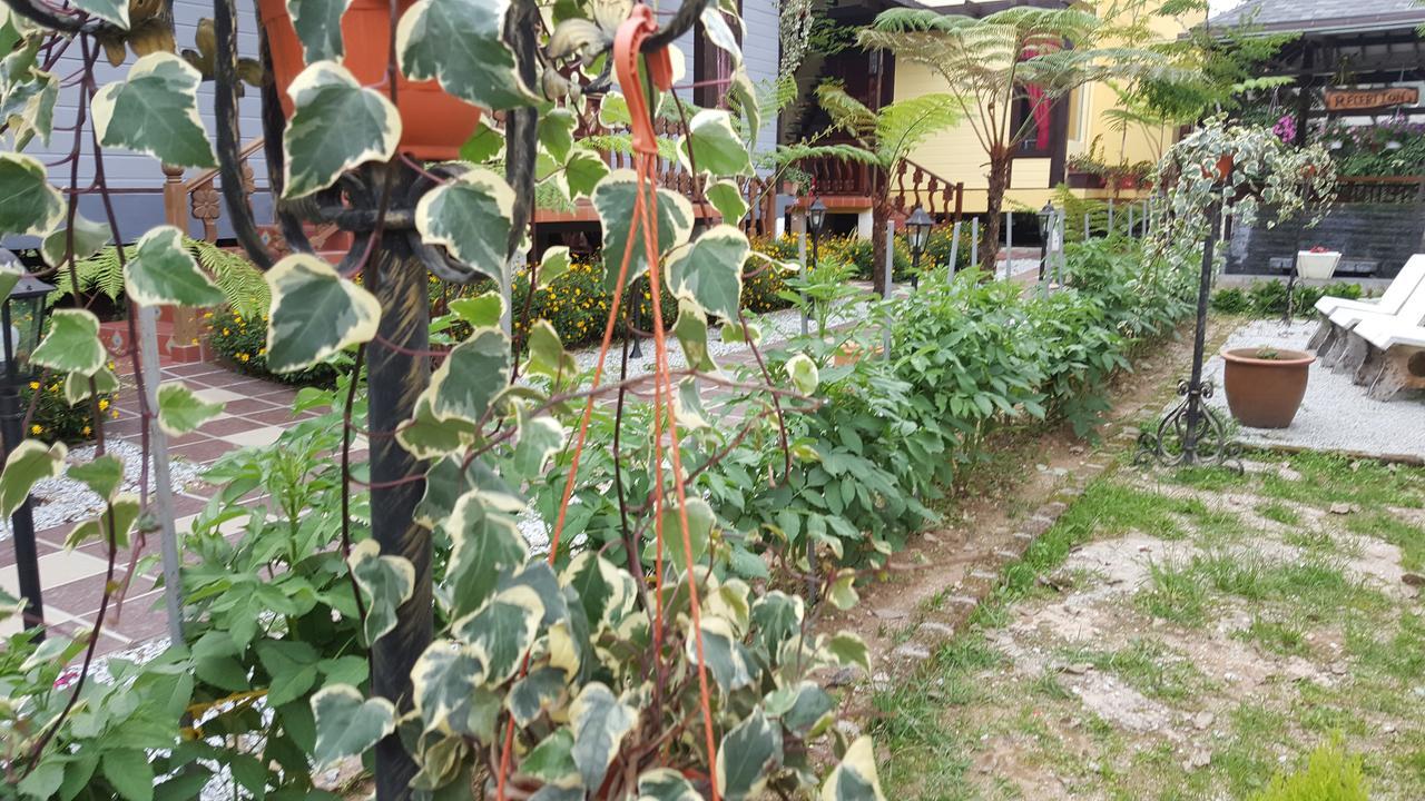 Casa Loma Cameron Highlands Exterior photo