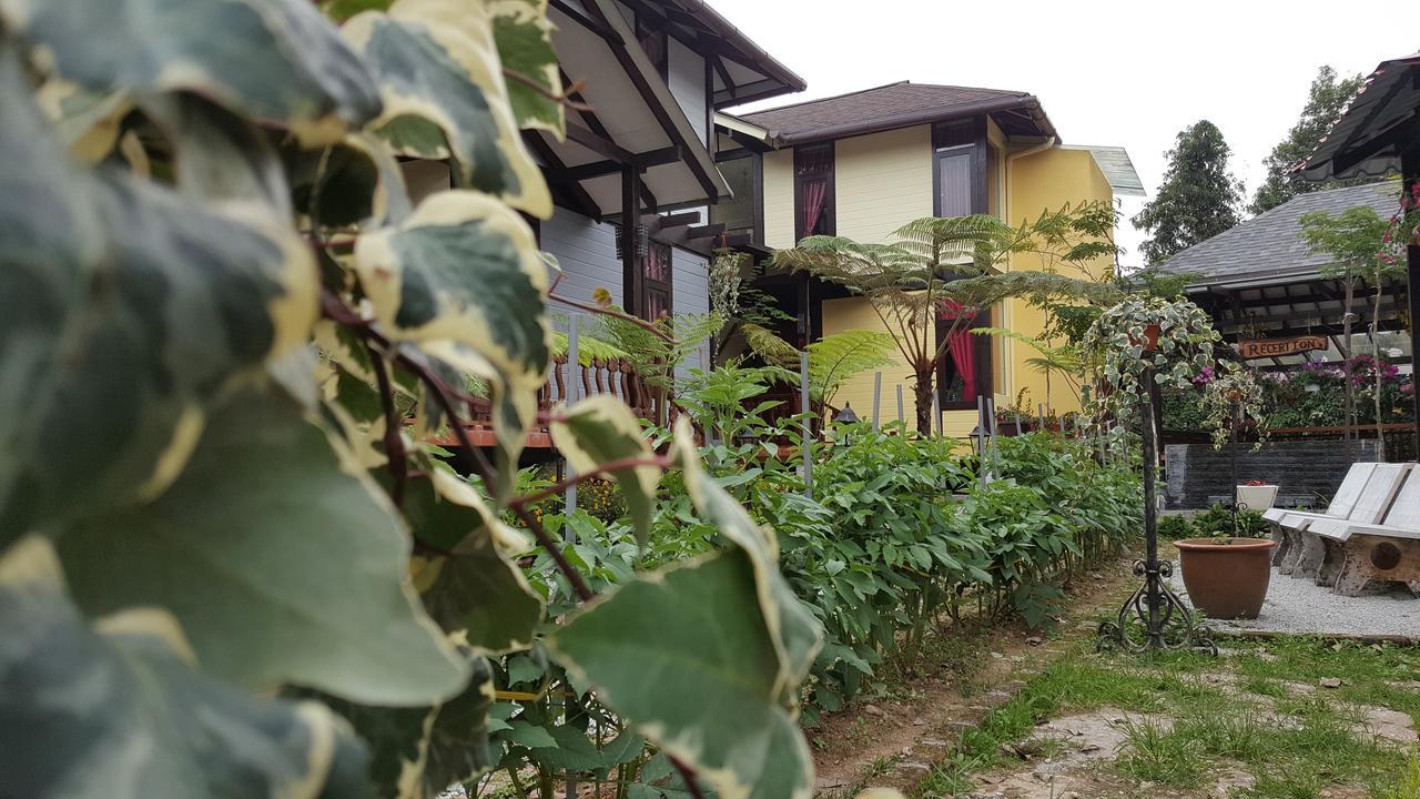 Casa Loma Cameron Highlands Exterior photo